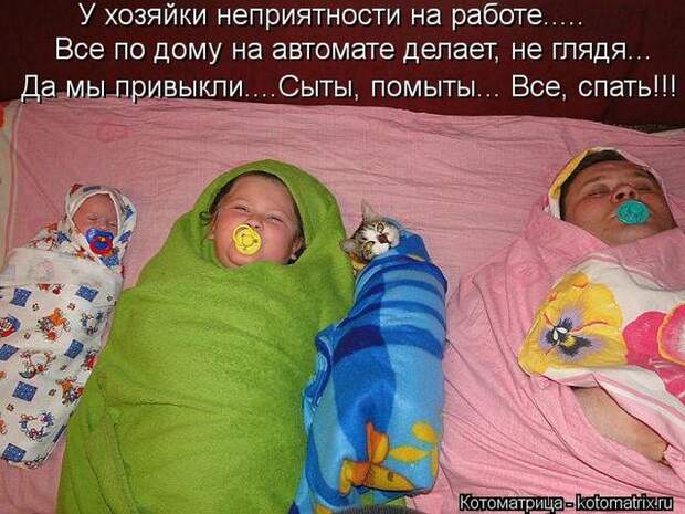 Лучшие котоматрицы недели (50 фото) Лучшие котоматрицы недели (50 фото)