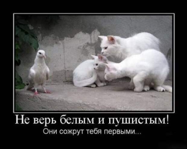 Демотиваторы близкие к мотиваторам, про нашу жизнь любовь.