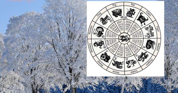 Три китайские знака зодиака будут на седьмом небе от счастья весь январь 2026