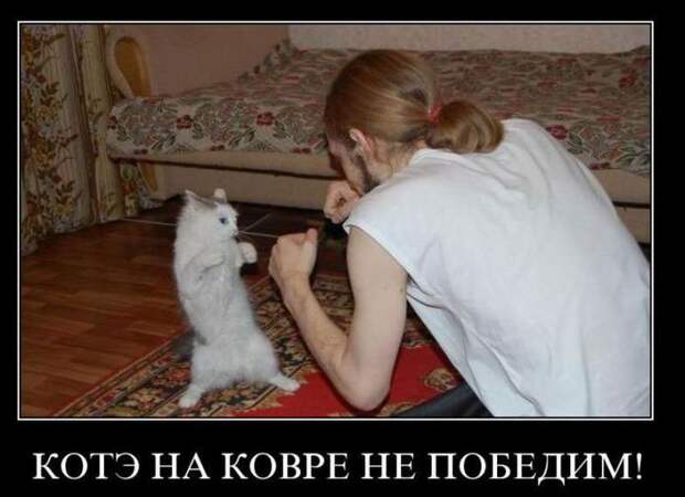 Демотиваторы демотиваторы, прикол, смех, юмор