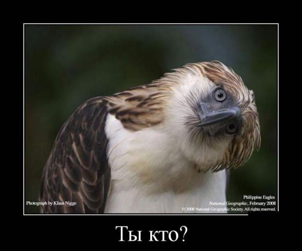 Демотиваторы (30 фото)