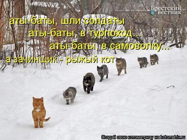 Новые котоматрицы за неделю