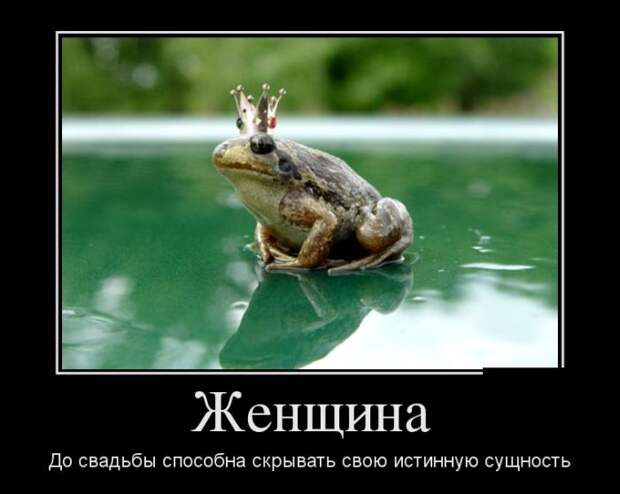 Прикольная коллекция демотивационных приколову Прикольная коллекция демотивационных приколову