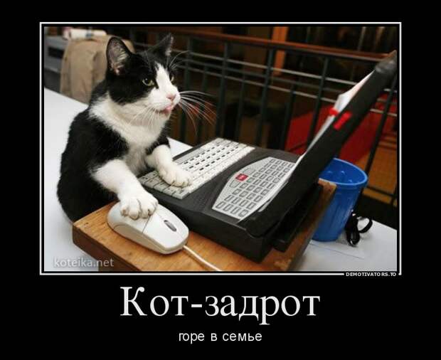 Демотиваторы демотиваторы, прикол, смех, юмор