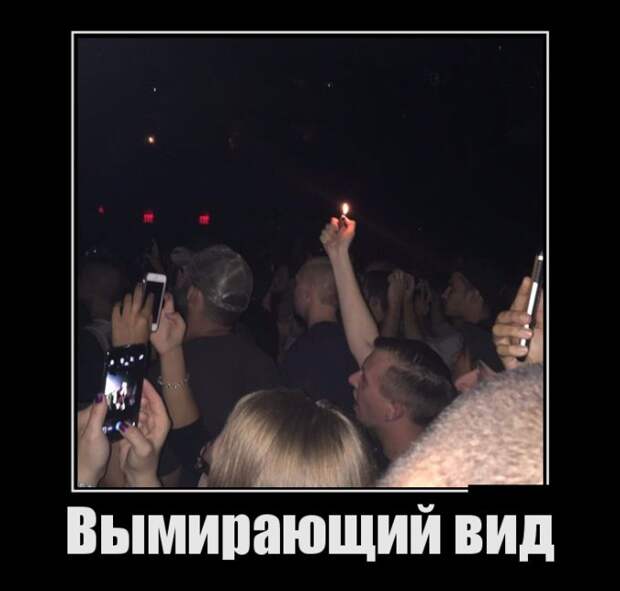 Демотиваторы