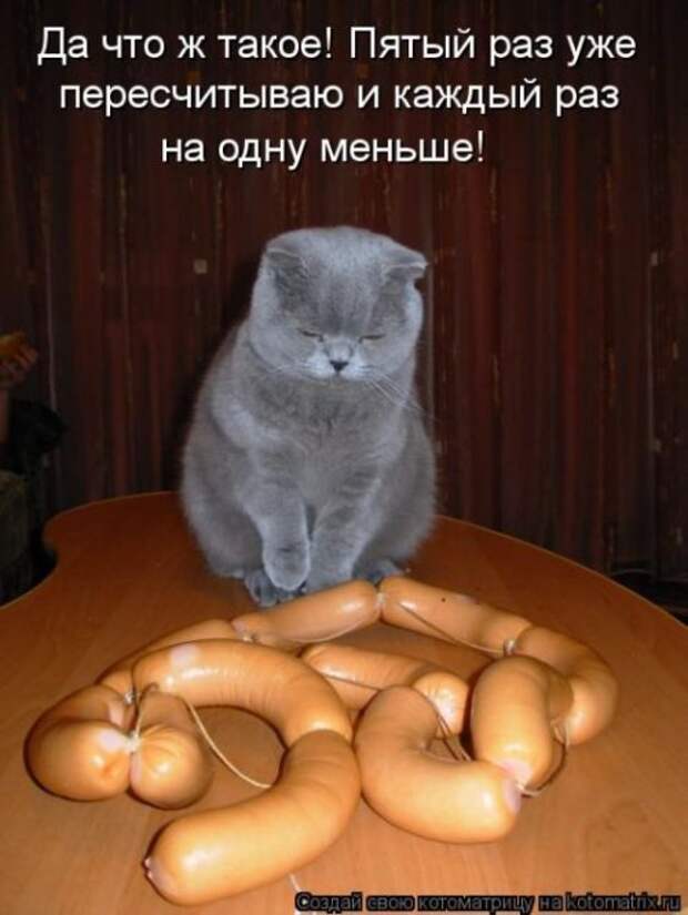 Новые юморные котоматрицы (27 шт) Новые юморные котоматрицы (27 шт)