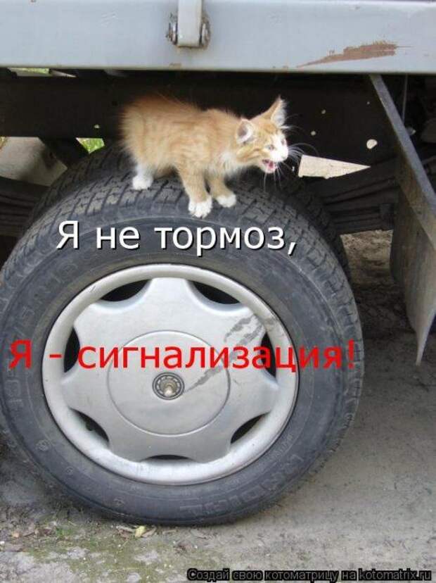 Мысли вслух :)