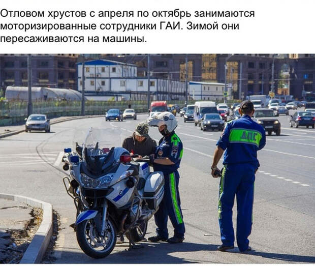 День с инспектором ГИБДД (26 фото) День с инспектором ГИБДД (26 фото)