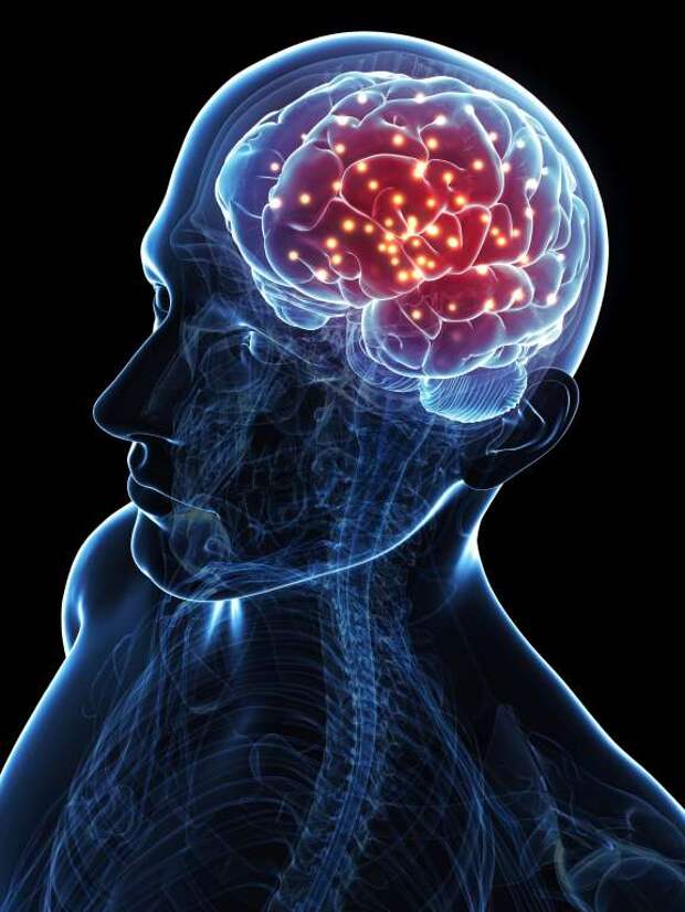 Разрушаем самые популярные мифы (11 фото)