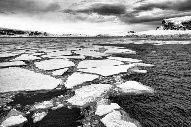 23. Таяние льдов в Антарктиде вызвало легкое изменение гравитации. антарктида, факты