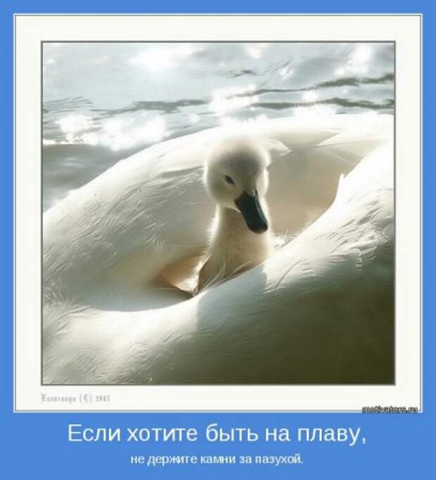Мотиваторы о жизни, любви и вообще...