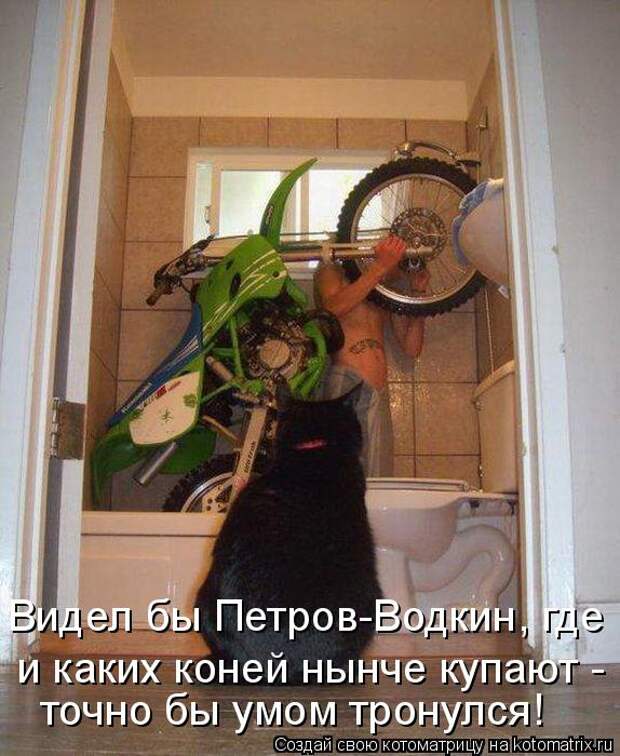 Котоматрица - Видел бы Петров-Водкин, где и каких коней нынче купают - точно бы умом