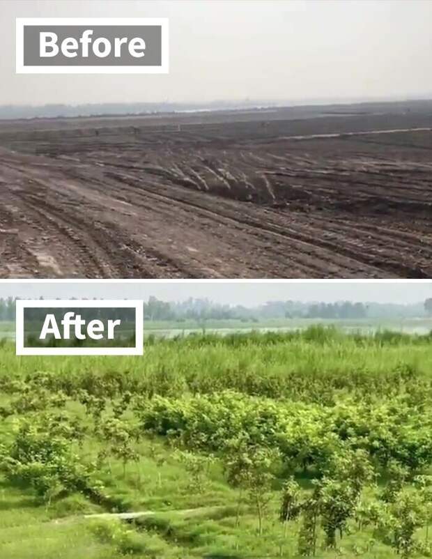 Даже в Пакистане бывает цунами Даже в Пакистане бывает цунами