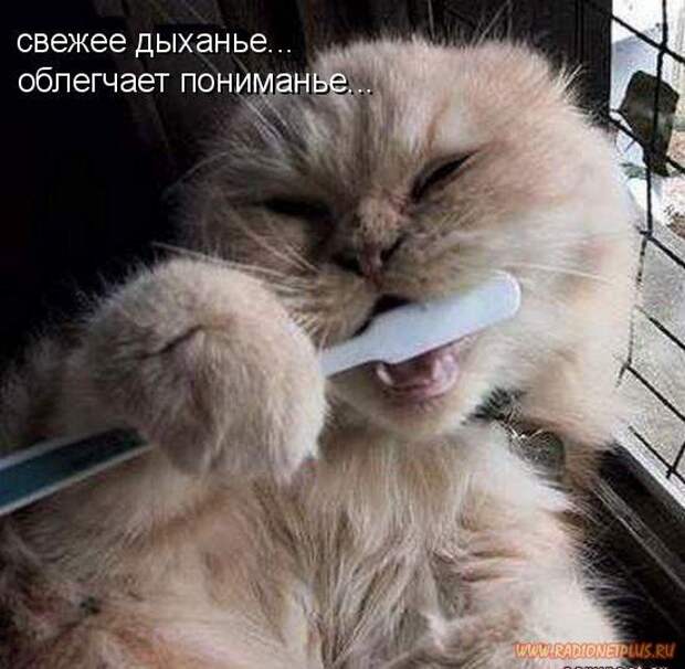 Мысли в слух