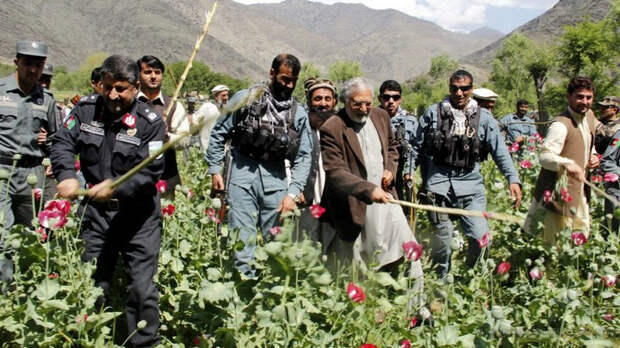 90% преступлений в афганской провинции Гильменд совершает местная полиция.