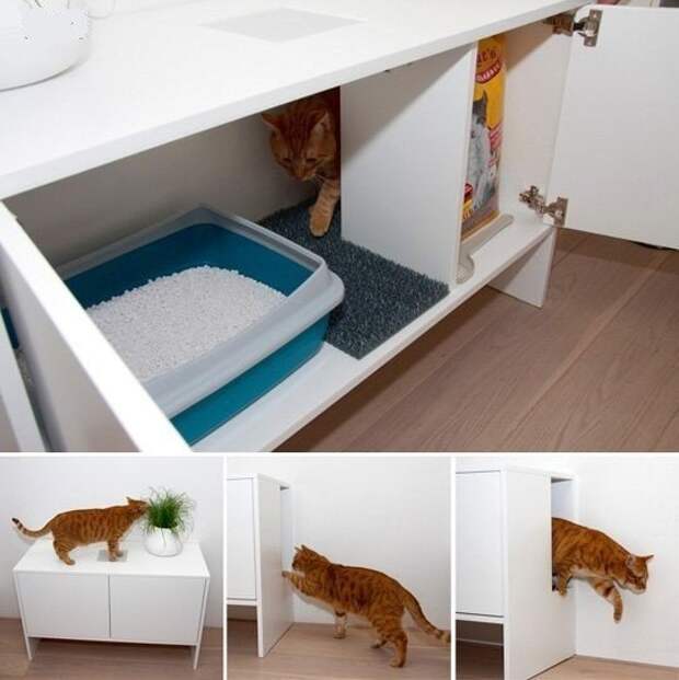 Как спрятать лоток для кошки. Интересная идея