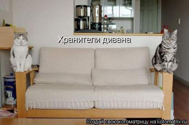 Мысли вслух :)
