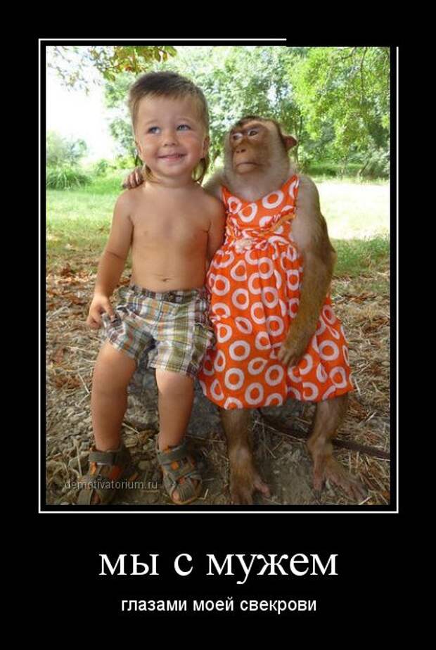 Демотиваторы демотиваторы, прикол, смех, юмор