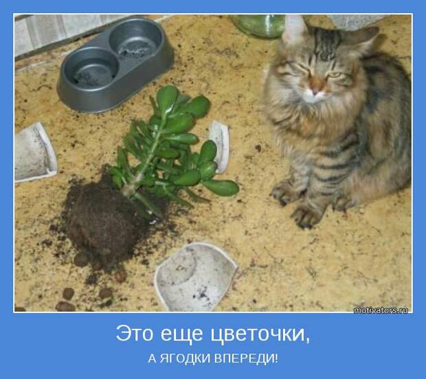 Не относитесь слишком серьёзно к жизни. Живыми вам из неё всё равно не выбраться (анекдоты) Не относитесь слишком серьёзно к жизни. Живыми вам из неё всё равно не выбраться (анекдоты)