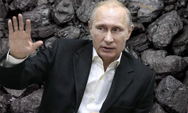 Путин приказал возобновить поставки угля на Украину 
