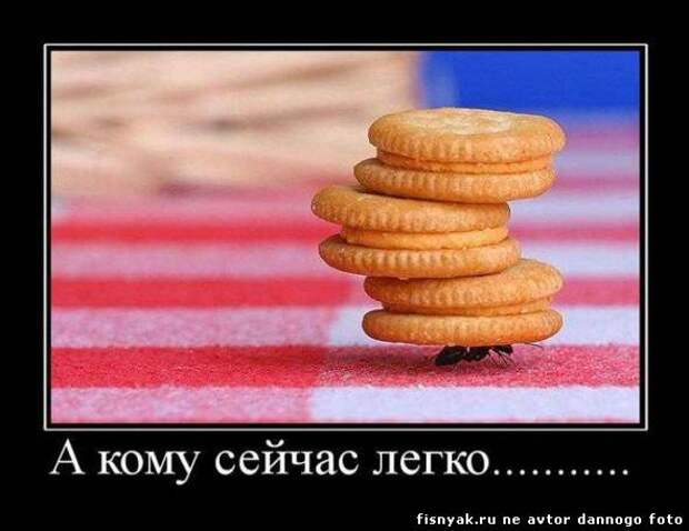 Похожее изображение