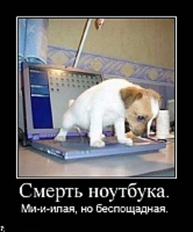 Демотиваторы фото 2