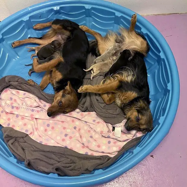 ���� � ������� ��� �������� ���������� � ���� ��������