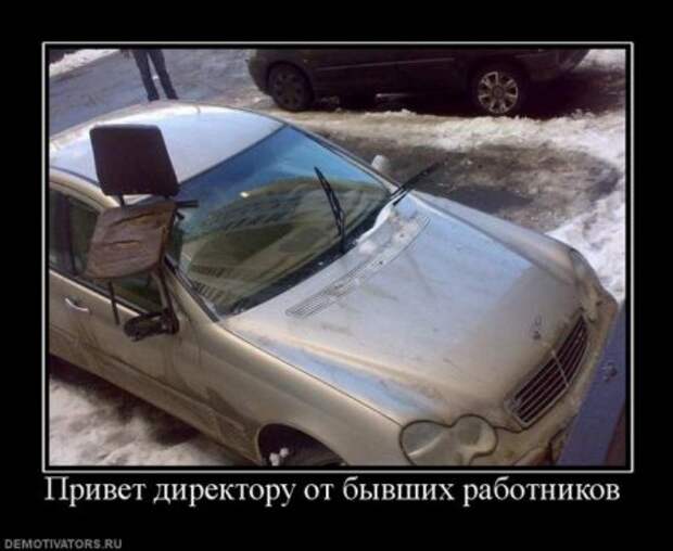 Картинки прикольные демотиваторы.
