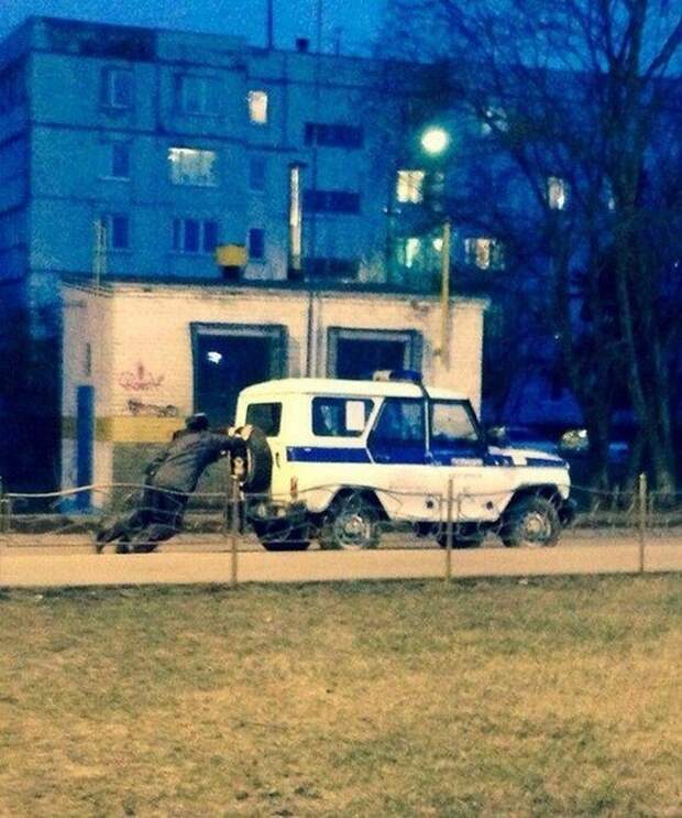 Наша раша (29 фото) Наша раша (29 фото)