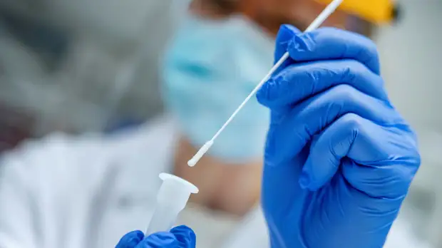 В Болгарии число выявленных случаев коронавируса достигло 114 435