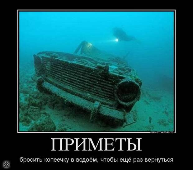 Селёдка под юбкой? 2