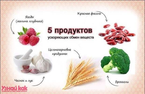 5 продуктов ускоряющих обмен веществ