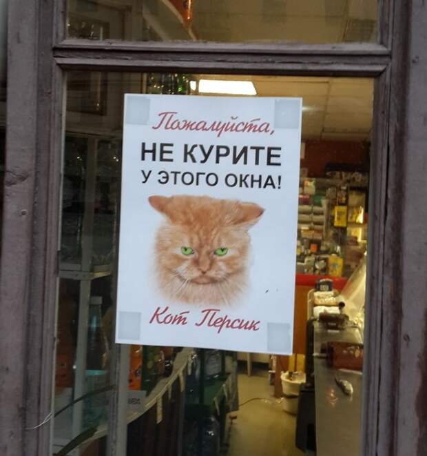 25 гениальных объявлений 2014 года объявления, смешно