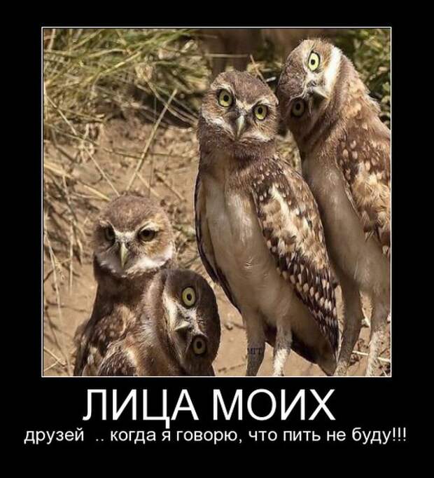Демотиваторы демотиваторы, юмор