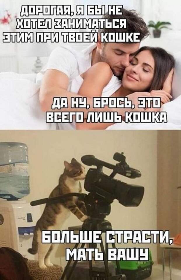 Смешные и клевые картинки