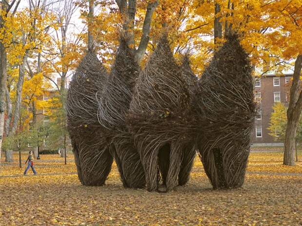 Photo: Bowdoin College