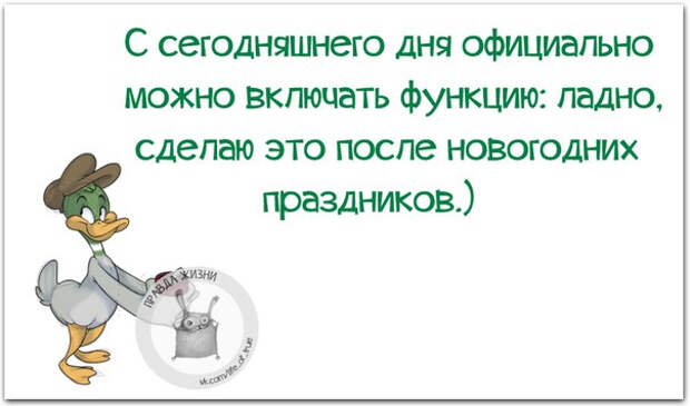 Немного новогодней «Правды жизни» (30 картинок)