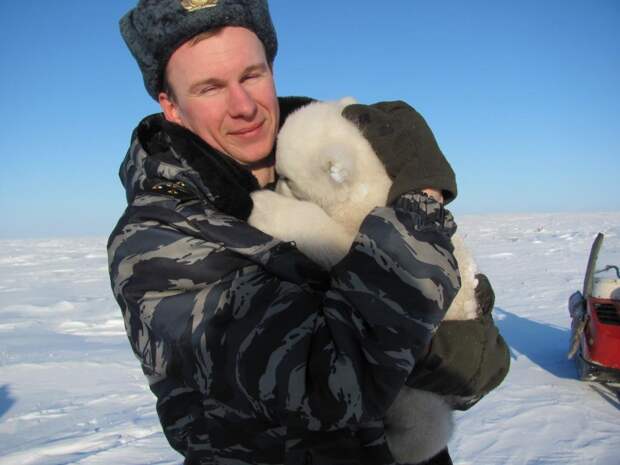 Спасение медвежонка Спасение медвежонка wwf, белый медведь, детки, животные, звери, зверята, малыши, медведи, медвежонок, мимими