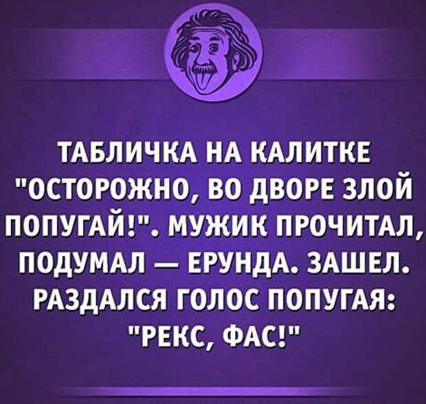 Бывает, когда они работают в паре животные, прикол