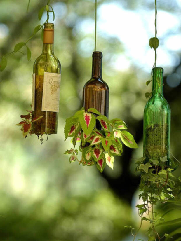 Идеи превращения винных бутылок в стильные и функциональные: Вертикальные горшки. Необычные вертикальные подвесные горшки для вьющихся растений.