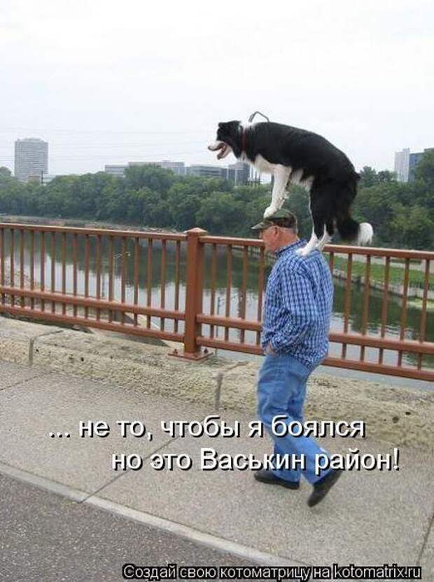 фотографий животных с подписями (50 фото)
