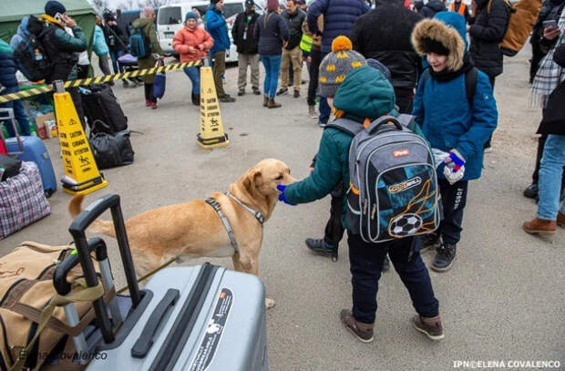 Временная защита украинцев, перемещённых в Молдове, будет продлена