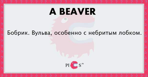 sexybeasts13