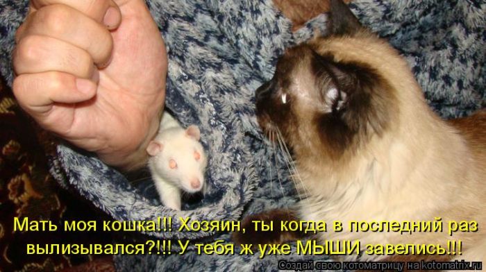 Мысли вслух :)