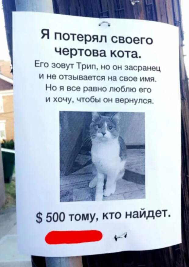 Угарная подборка объявлений из России, креативности которых позавидовали бы даже в США.