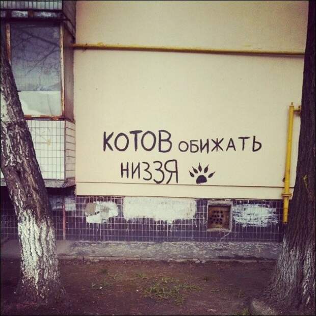 Прикольные надписи и объявления надписи, объявления, юмор
