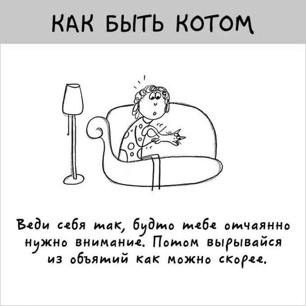 12 картинок с инструкциями о том, как быть котом инструкция, кот, юмор