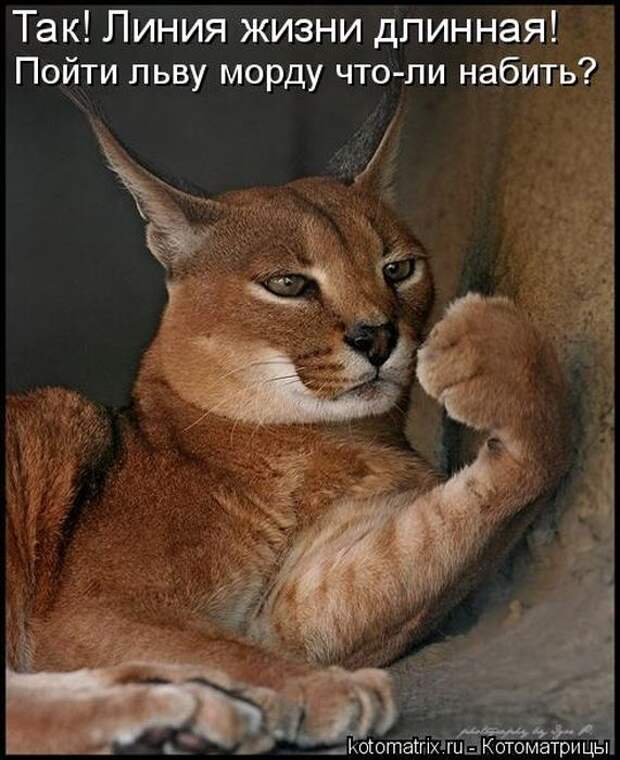 Мысли вслух :)