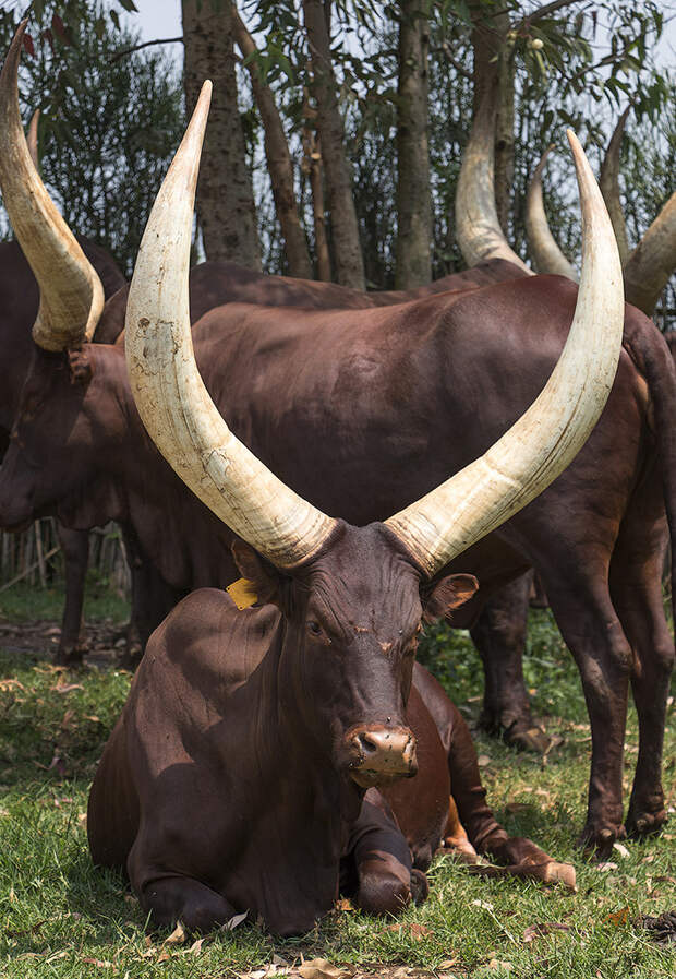 0_ae621_fb662511_XXL