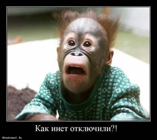 Демотиваторы приколы новые.